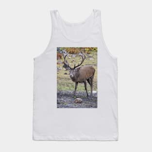 Red Deer Buck Tank Top